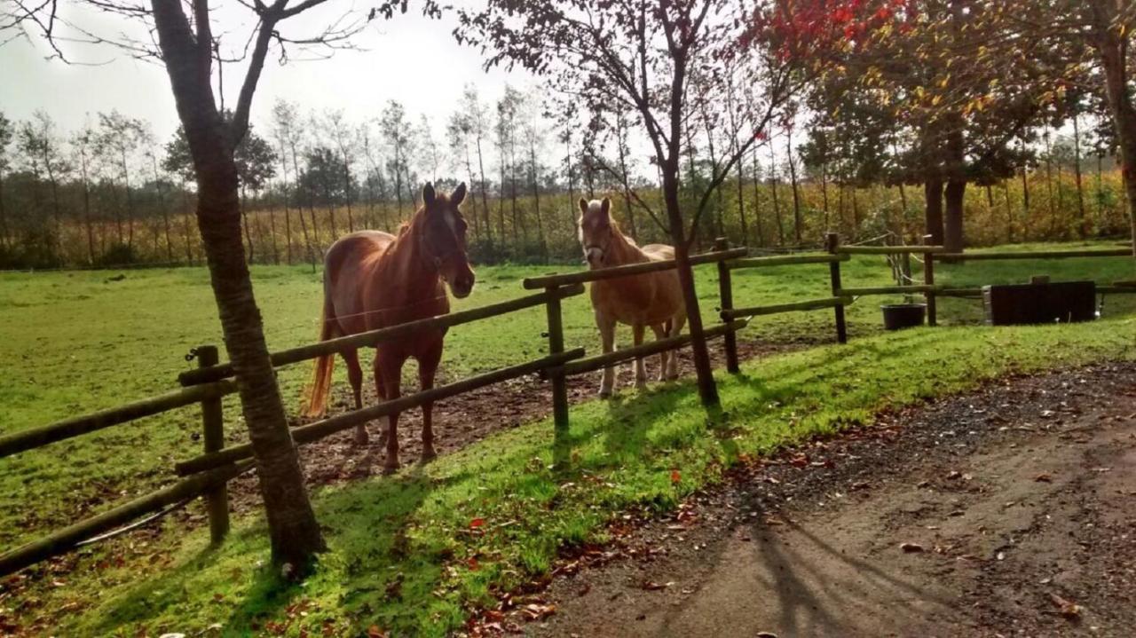 Vakantiehuisjes Landgoed Sonneborghe Kollumerzwaag Exterior foto