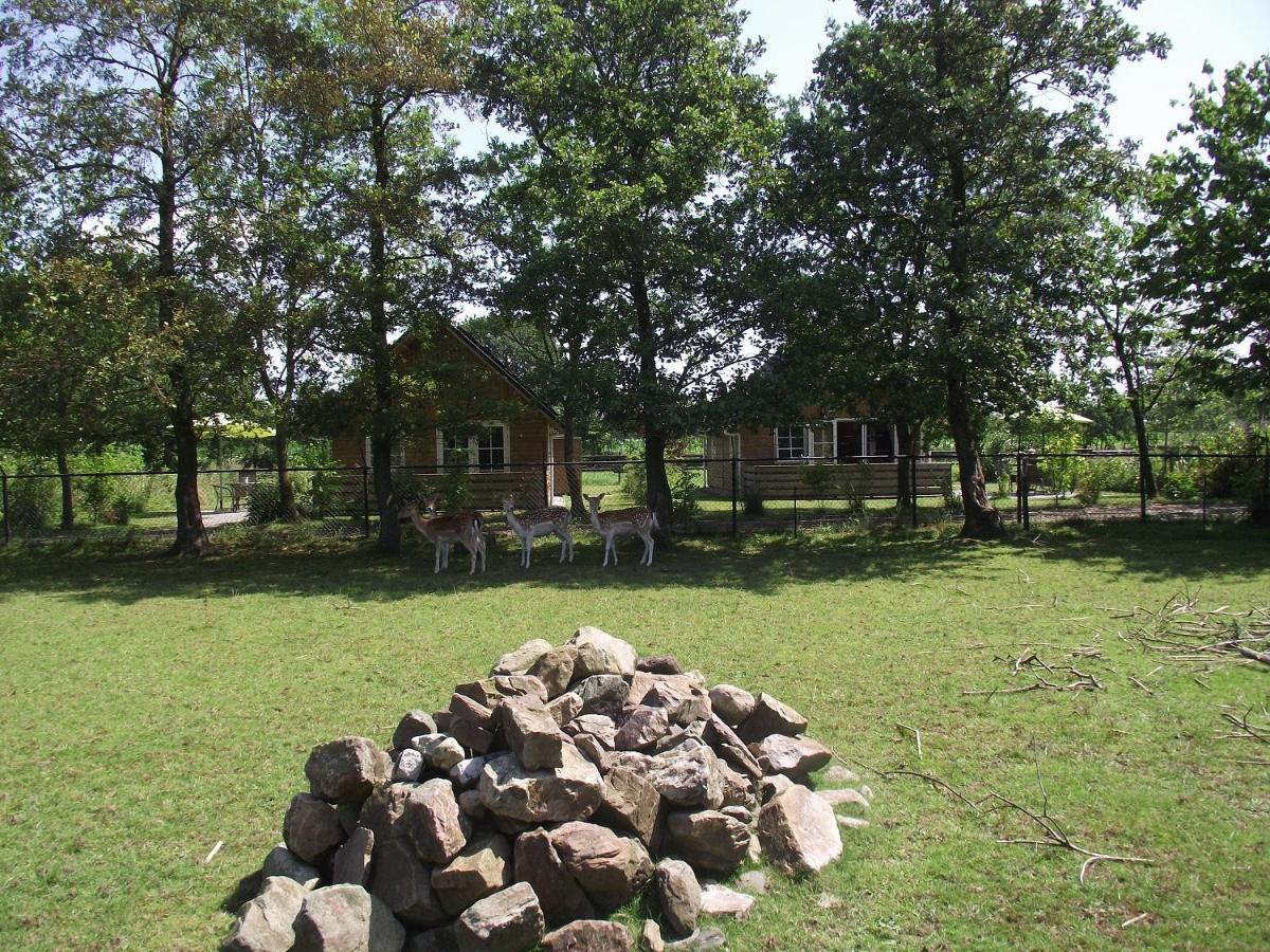 Vakantiehuisjes Landgoed Sonneborghe Kollumerzwaag Exterior foto