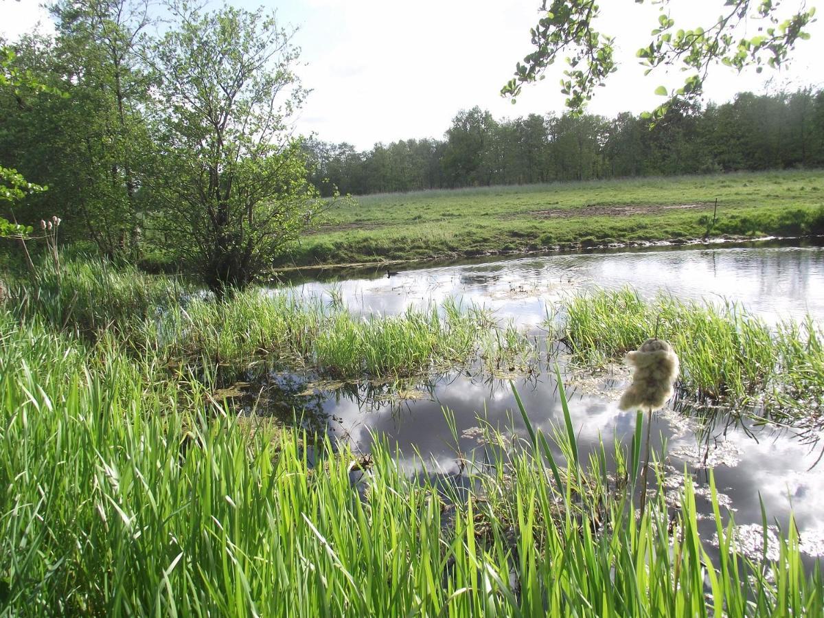 Vakantiehuisjes Landgoed Sonneborghe Kollumerzwaag Exterior foto