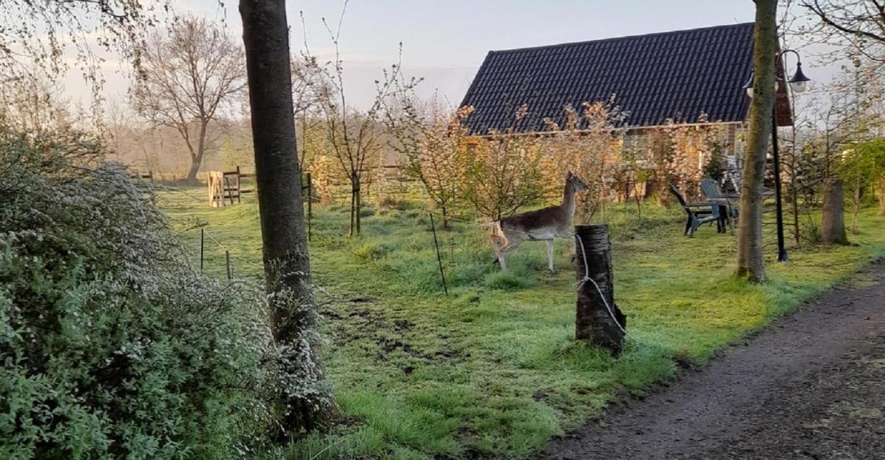 Vakantiehuisjes Landgoed Sonneborghe Kollumerzwaag Exterior foto