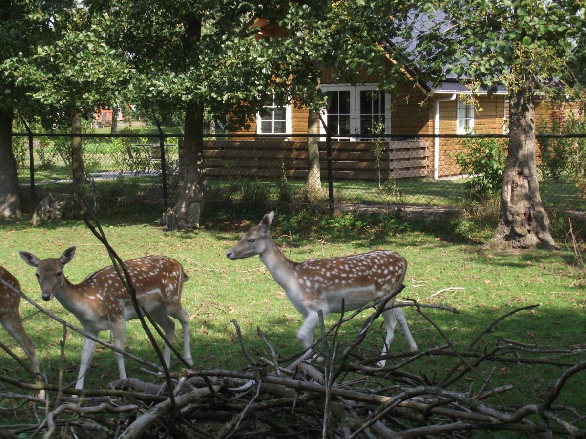 Vakantiehuisjes Landgoed Sonneborghe Kollumerzwaag Exterior foto